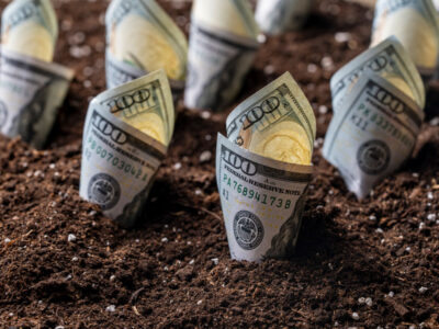 money growing out of the ground