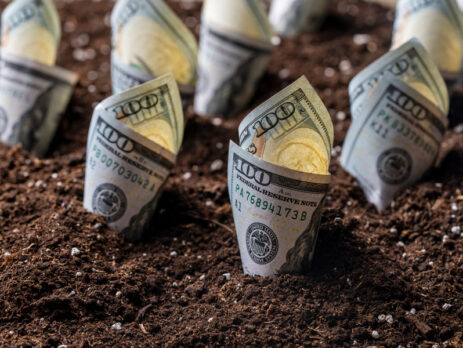 money growing out of the ground
